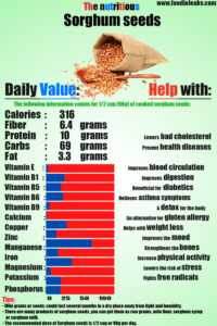 sorghum-seeds-nutrition