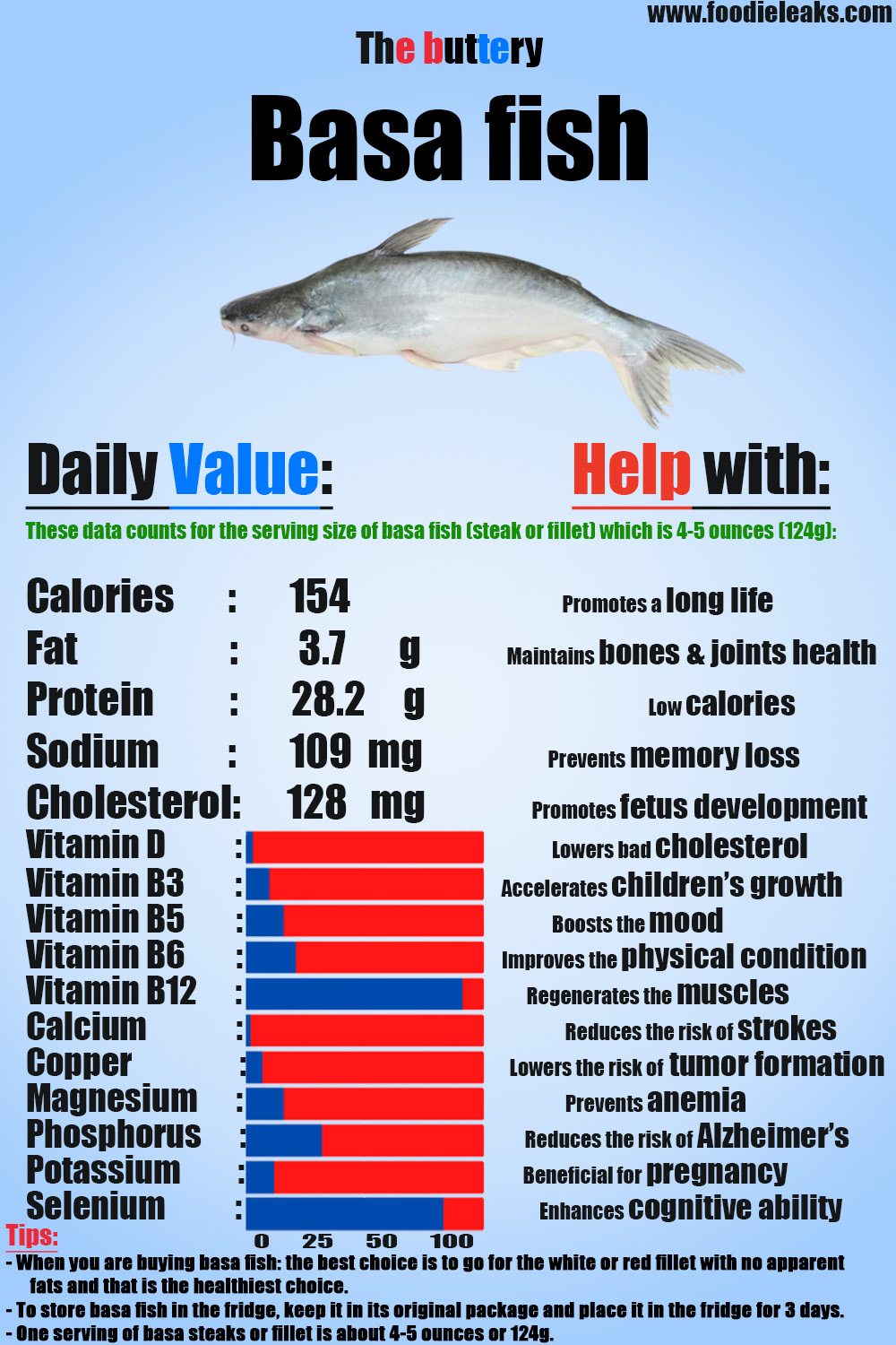 Why Basa Fish Is Bad