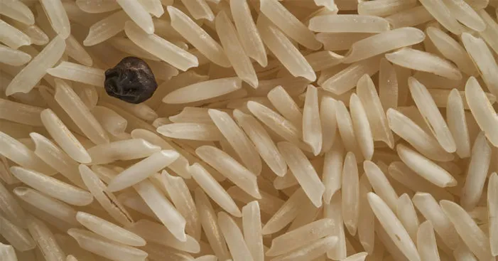 Black-soy-rice-and-celery-stick