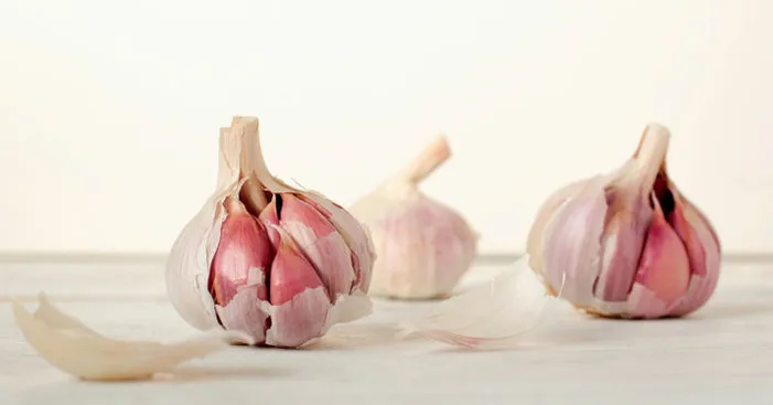 Choose-the-best-red-garlic