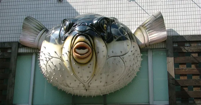 Fugu-fish-overview