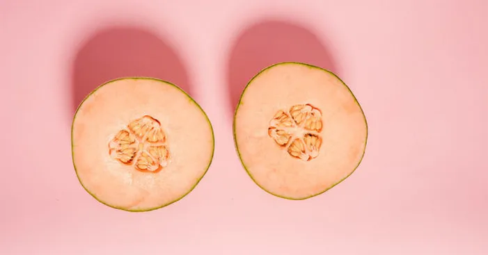 General-facts-about-melons