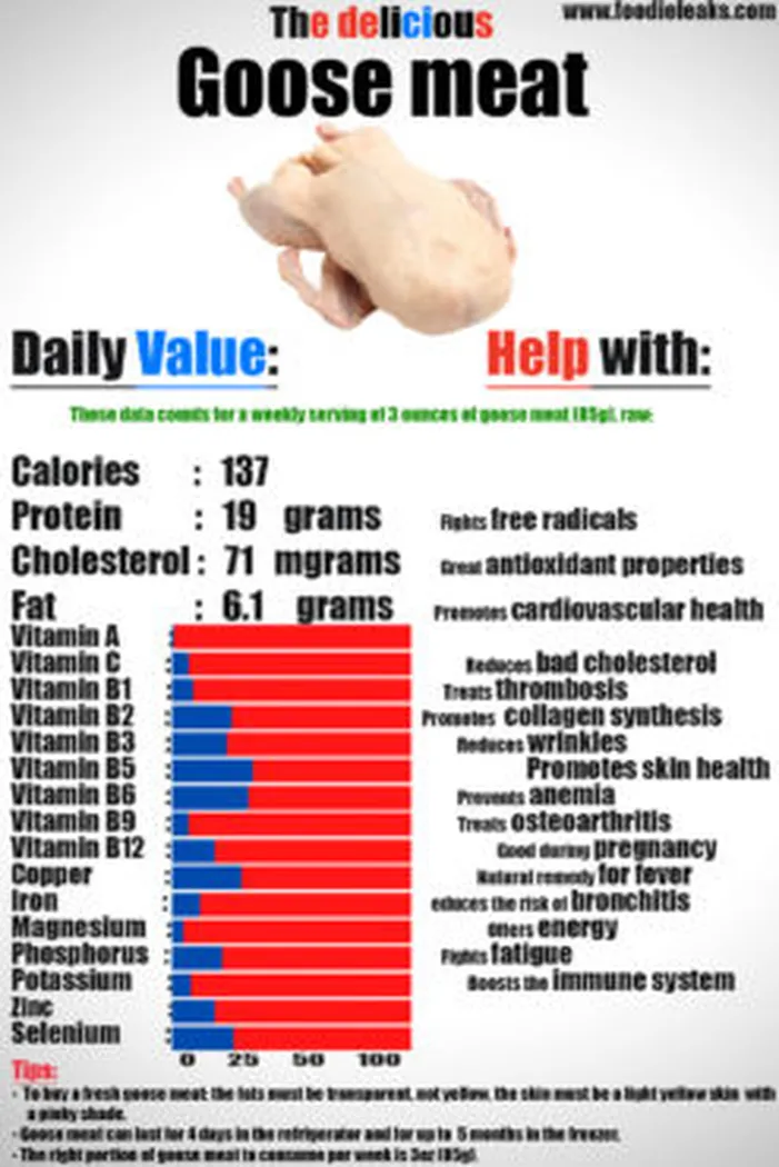 Goose-meat-nutrition