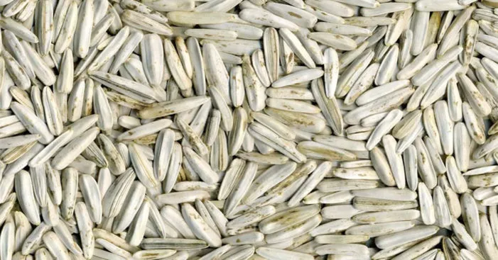 How-many-white-sunflower-seeds-should-I-eat-per-day