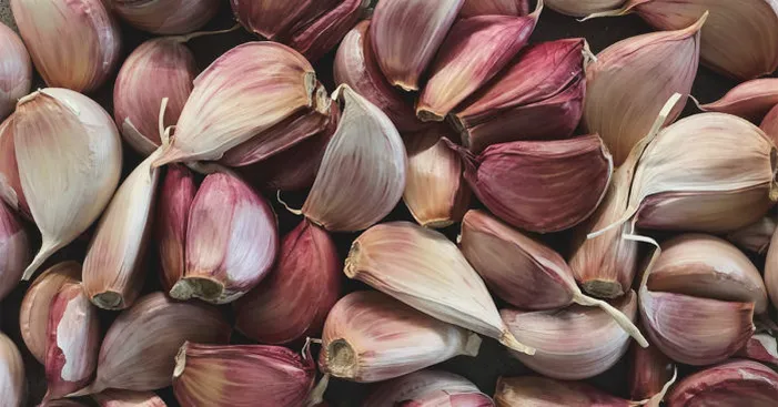 How-much-red-garlic-to-consume-per-day