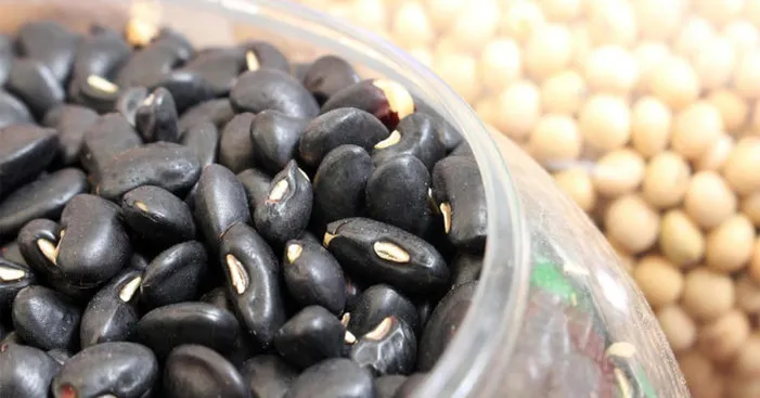 How-to-cook-consume-black-soybeans