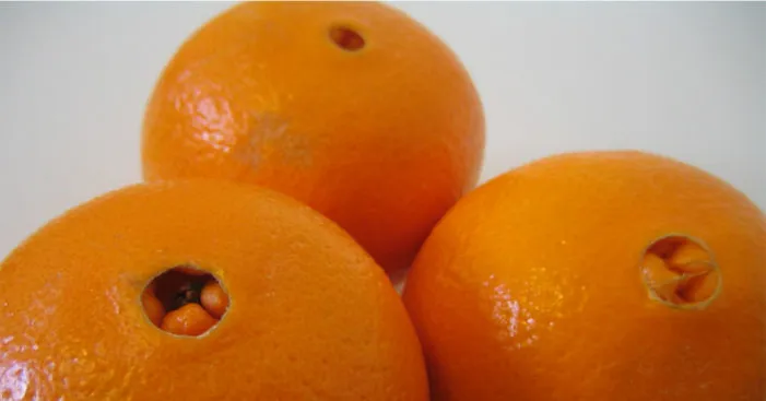 Navel-orange