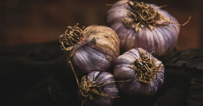 Other-benefits-found-in-red-garlic