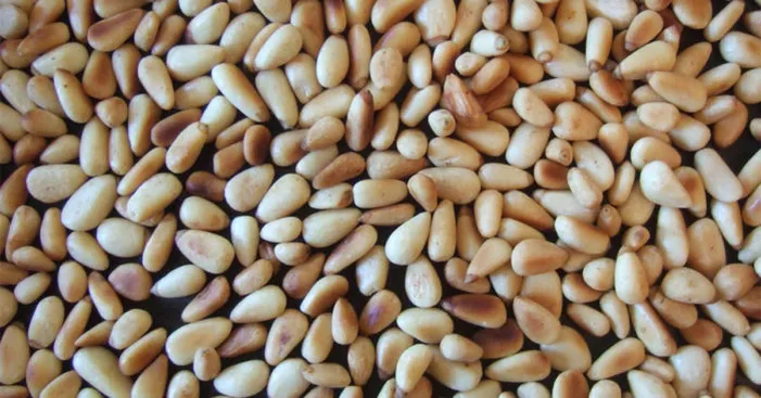 Pine-nuts-sexual-benefits