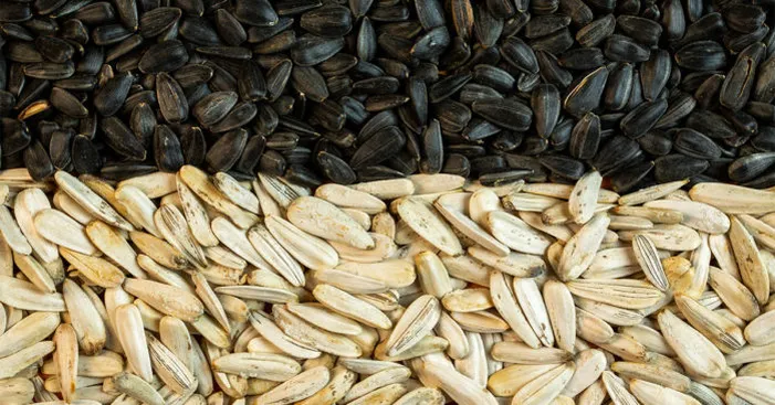 What-are-white-sunflower-seeds