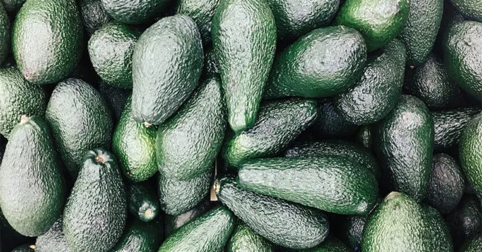 avocado-varieties