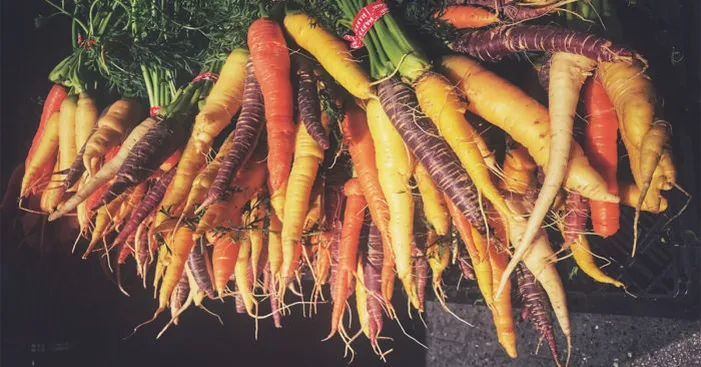 benefits-of-carrot-fiber