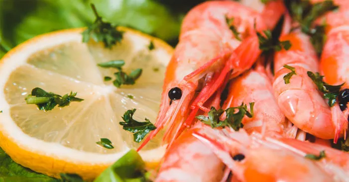 benefits-of-royal-red-shrimp