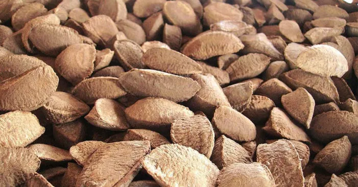 buying-brazil-nuts