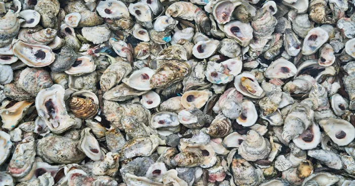 buying-oysters