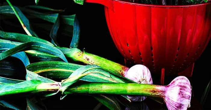 buying-spring-garlic