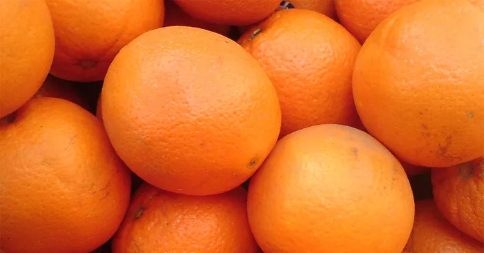calamondin-nutritional-values-and-health-benefits