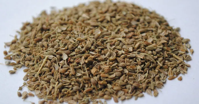 caraway-seeds-nutritional-values-and-health-benefits