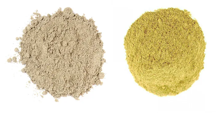 cardamom-vs-coriander-powder