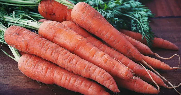 carrot-fiber-the-insoluble-fibers
