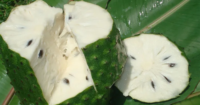 cherimoya-fruit-nutritional-values-and-health-benefits-1