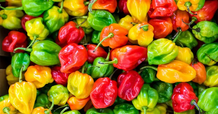 color-difference-between-peppers