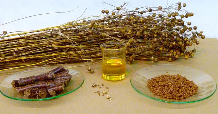 flaxseed-oil-for-hair