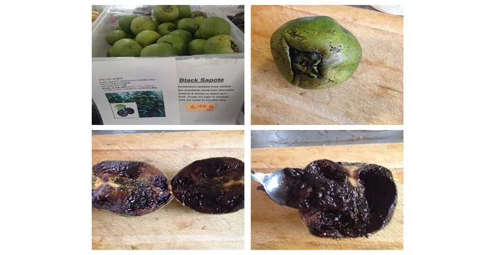 general-facts-about-black-sapote