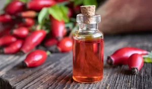 general-facts-about-rosehip-seed-oil