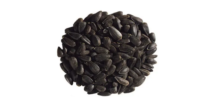 history-of-black-sunflower-seeds