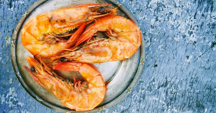 history-of-royal-red-shrimp