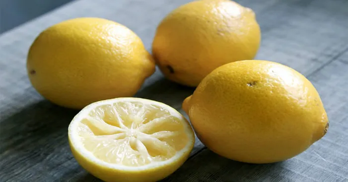 lemon-type-menton