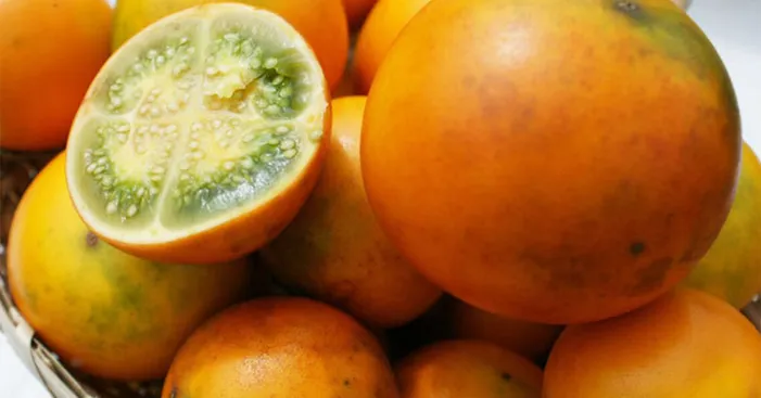 lulo-fruits-nutritional-values-and-health-benefits