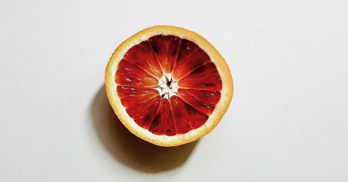 maltese-orange