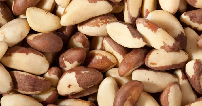 nueces-de-brasil-benefits-and-side-effects