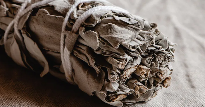 nutritional-values-and-health-benefits-of-dried-sage