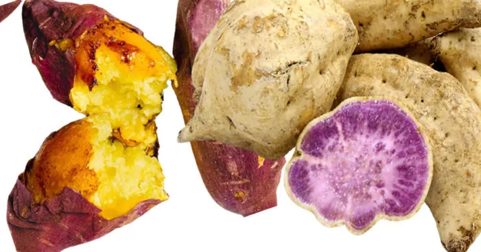 okinawan-sweet-potato-korean-sweet-potato