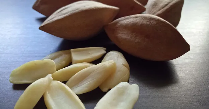 pili-nuts-nutritional-values-and-health-benefits