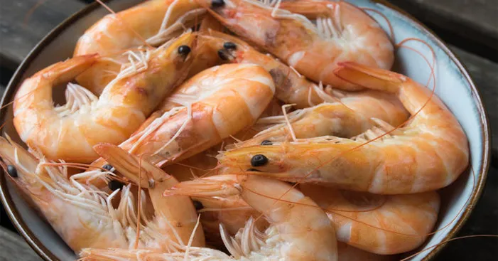 preparing-royal-red-shrimp
