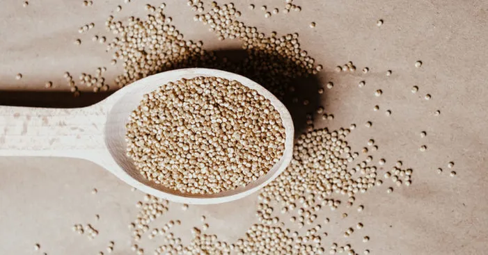 quinoa-seeds-properties