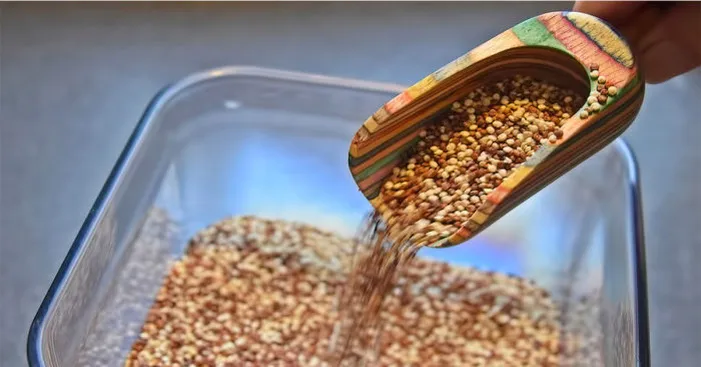 quinoa-seeds-types