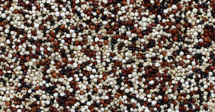 quinoa-seeds0