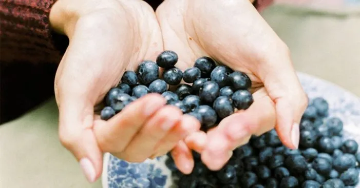 storing-blueberries