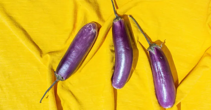 storing-eggplants