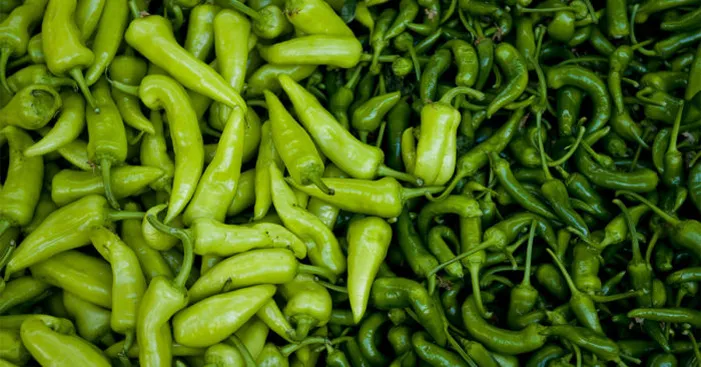 storing-green-peppers