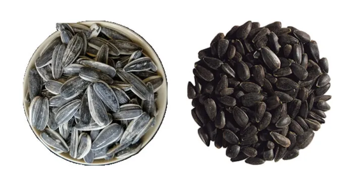 striped-vs-black-sunflower-seeds