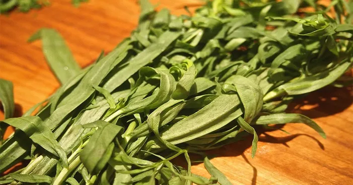 tarragon-nutritional-values-and-health-benefits