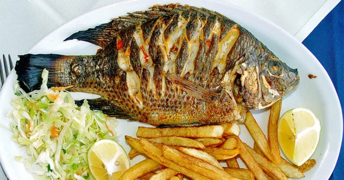 tilapia-benefits