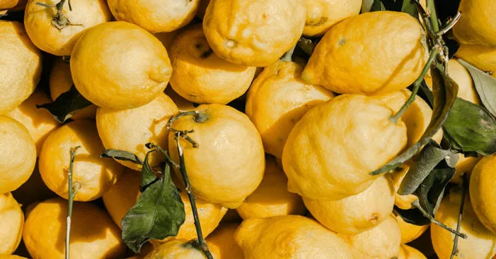 type-of-lemon-bergamot