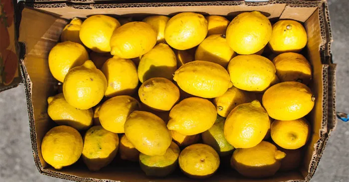 type-of-lemon-meyer